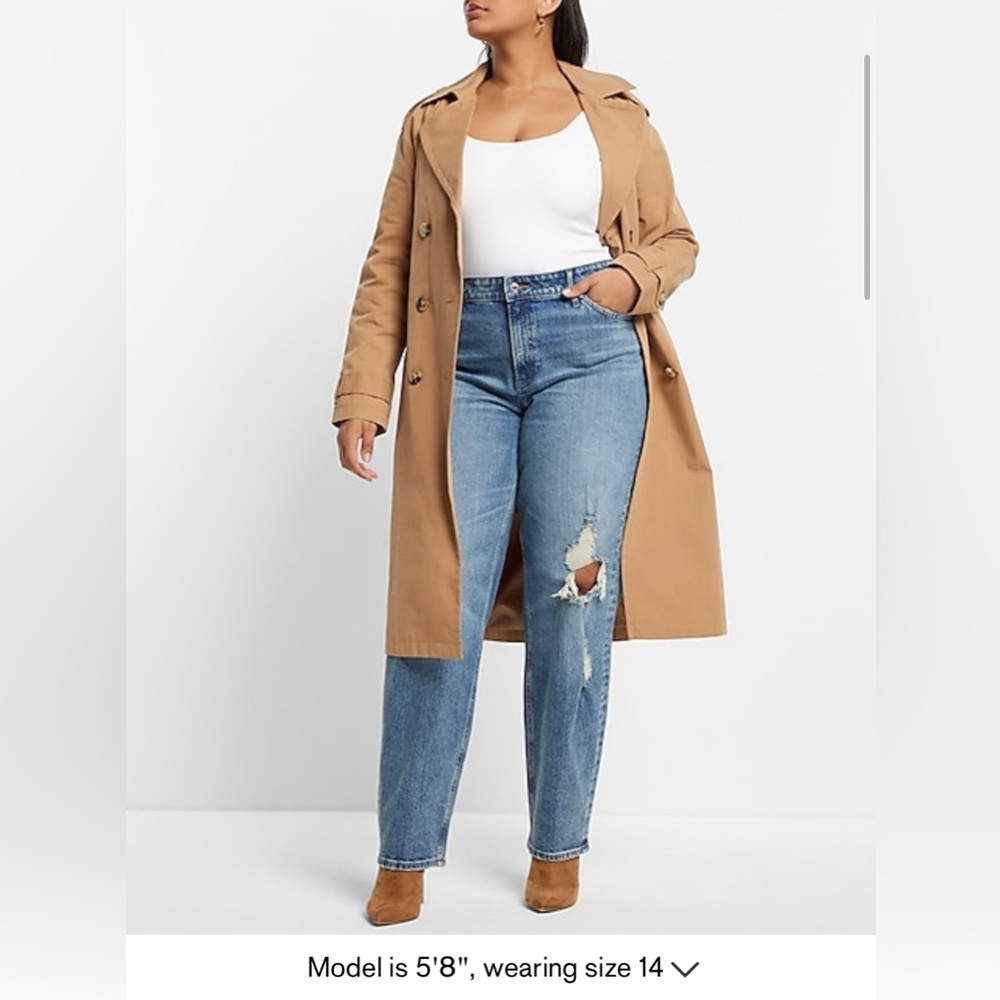 Express Mid Rise Medium Washed Ripped Baggy Tapered Jeans
